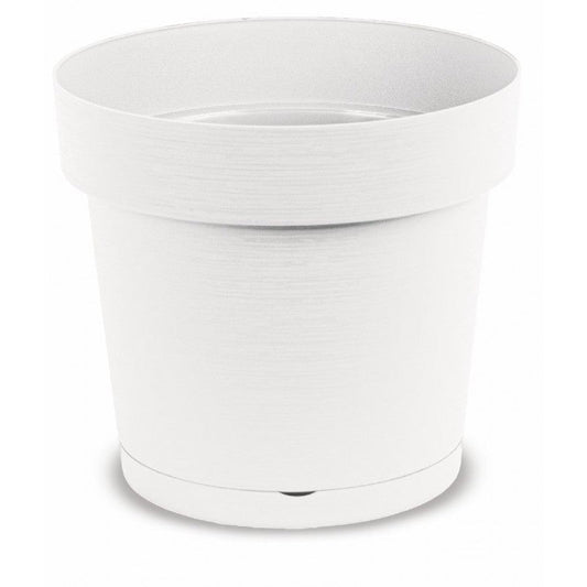 44266469