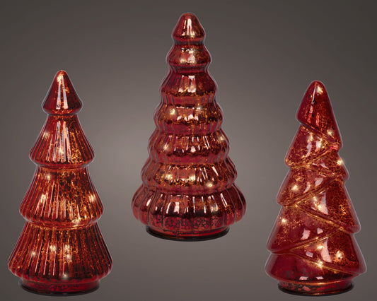 49542342